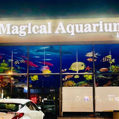 Witness the Beauty of Underwater Magic at the Magical Aquarium Club
